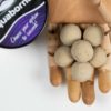 Balanced Hookbaits - Weiß