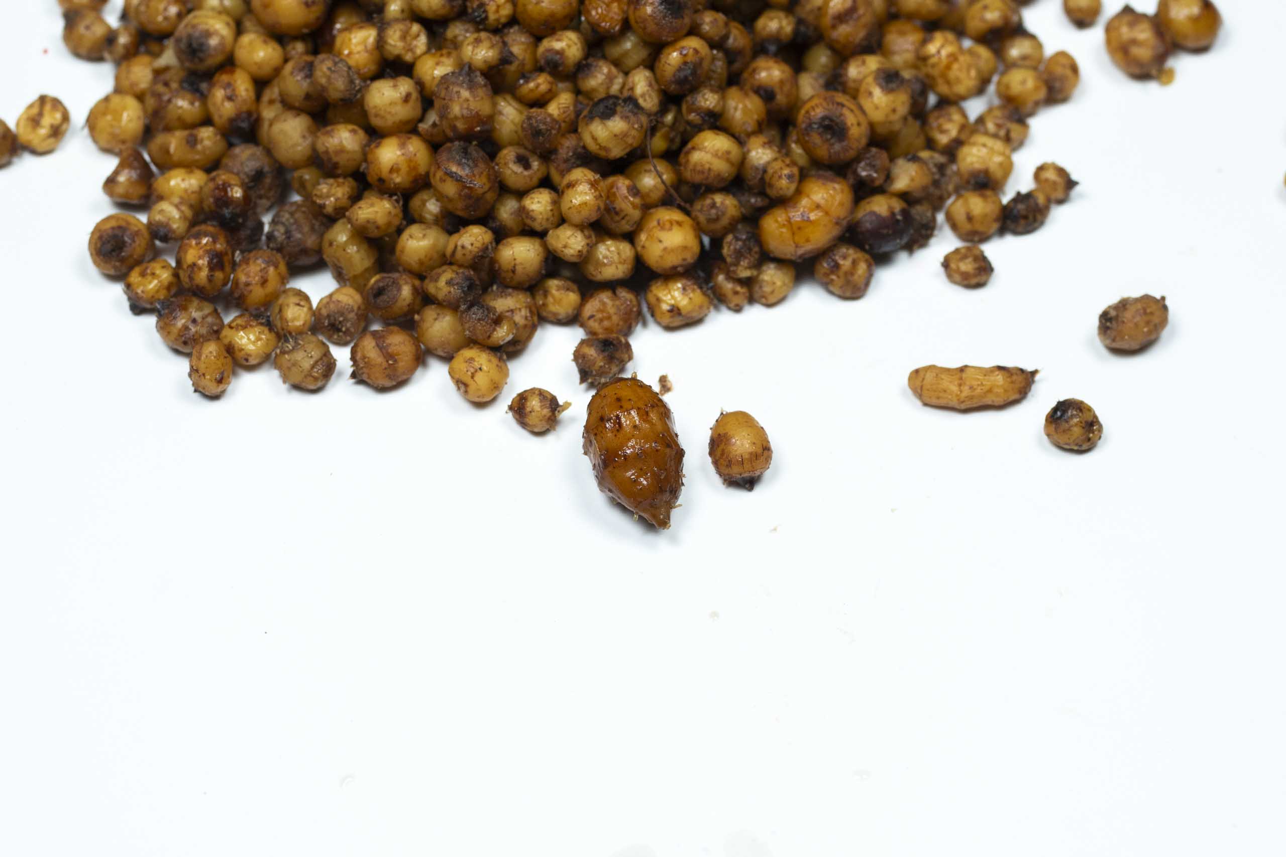 Jumbo Tigernut Hookbaits – Bild 6